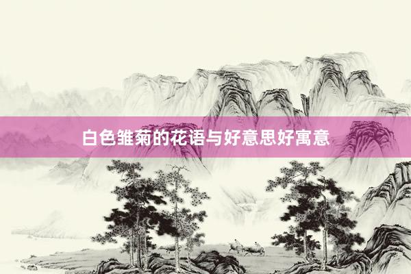 白色雏菊的花语与好意思好寓意