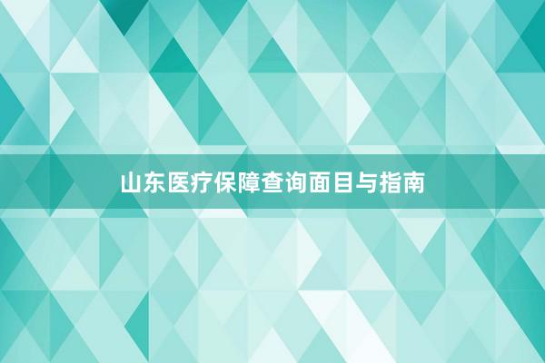 山东医疗保障查询面目与指南