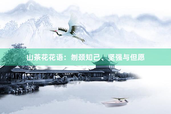 山茶花花语：刎颈知己、坚强与但愿