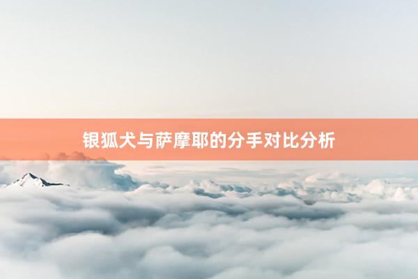 银狐犬与萨摩耶的分手对比分析